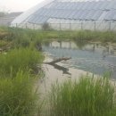 화천군수달연구센터 이미지