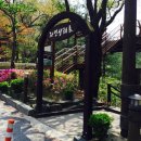 5521 | [대전] 대전 만인산자연휴양림(대전갈만한곳 / 만인산 봉이호떡)