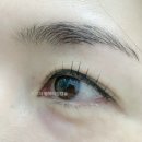 유공프라자(자연밥상) | 서현 속눈썹 스튜디오 모아, 속눈썹 관리로 찾은 나만의 뷰티 아지트