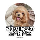 글로리아 하우스 | [내돈내산] 강아지 유모차 | 로얄테일즈 글로리아 개모차 베이지 실제 사용 후기
