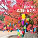월정사 탑돌이 | 평창 오대산 월정사 전나무숲 탑돌이 가을 단풍 풍경