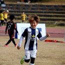 청양공설운동장 이미지