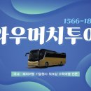 와우머치투어
