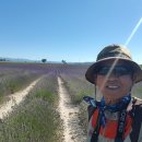 외항주유소 | Day33.꽃할배의 100일간의 유럽 자동차 캠핑여행. 프랑스 마르세유, 액상프로방스,발랑솔 (190712)