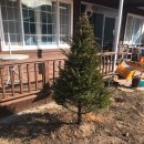 새천년농원 이미지