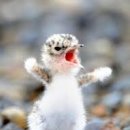 제일곱창 이미지