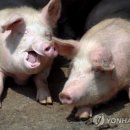 규범농장 이미지