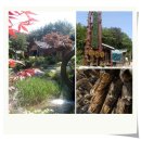 옥수골 마을 이미지