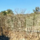 용인 고기리 모임 하기 좋은 카페 1819 (일팔일구) 이용후기