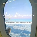 7175 | 세부 항공권 10만원대 예약 팁 에어부산 수하물 온라인 체크인 7175 7185 탑승 후기 feat. NOL