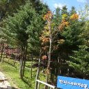 오대산장 화장실 이미지