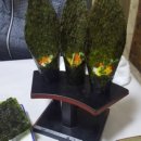 다도일식 이미지