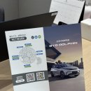 BYD 돌핀 시승 후기 / 스탠다드 VS 액티브 차이점, 어떤 트림이 더 괜찮을까?