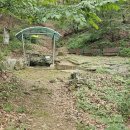 약진로변 이미지