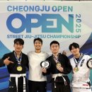 비스트주짓수세종