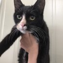 신천파출소 이미지