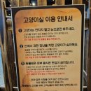 씨유청주동남파크점 | 청주 실내놀이터 히어로플레이파크 반일권도 부족한 동물체험 키즈카페 아이랑 추천