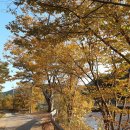 내계마을 이미지