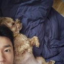 광장서적 이미지