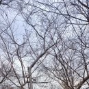 소죽도 찜질방 이미지