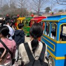 논산떡전문 | 봄향기와 놀거리 먹거리 가득! 논산 딸기축제 방문 후기