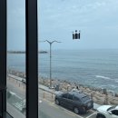 영금정 | [공지] 속초 등대해수욕장 오션뷰 카페 할리스, 재재재방문 후기(+영금정)