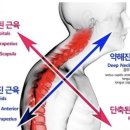 유앤미짐 이미지