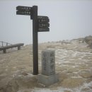 다리안 주차장 이미지