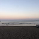 테우안경 이미지