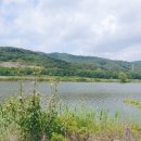썬바라기