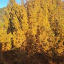 장태산자연휴양림 이미지