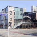 커낼워크 봄동 이미지