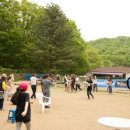 강아지 세상 이미지