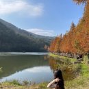 용소웰빙공원 | 부산 가을 사진 스팟 용소웰빙공원
