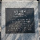 한양이비인후과의원 이미지