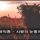﻿유익종 - 사랑의 눈동자 kpop 韓國歌謠 이미지