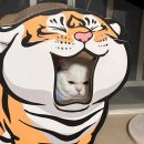 호랭이
