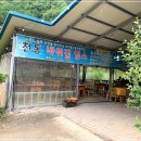 바위집염소 이미지