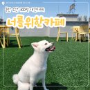[동탄/오산 애견카페] 대형견·소형견 모두를 위한, 300평 규모 오산 '너를위한카페'