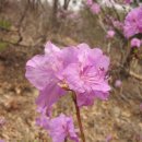 송산조견선생묘 이미지