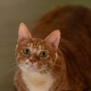 안경,진정성(호평점) | 🧟♀️ 2025년 최대 화제작 &#39;좀비딸&#39; 완전 정복 가이드 🎬✨