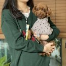 (주)평생동반자우리 이미지