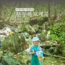 문동집 | 거제도 아이와 가볼만한곳 추천! 거제 문동폭포 계곡