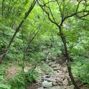 봉산리 오봉산화장실2 | 춘천의 명산 오봉산(779m)= (청평산)