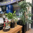 140호상회 이미지