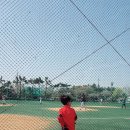 을숙도 리틀야구장 이미지