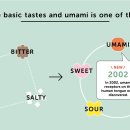 우마미(umami) 이미지