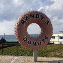 한라봉바다라면카페