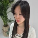 베테랑 미용실