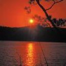 2012-주032 이미지